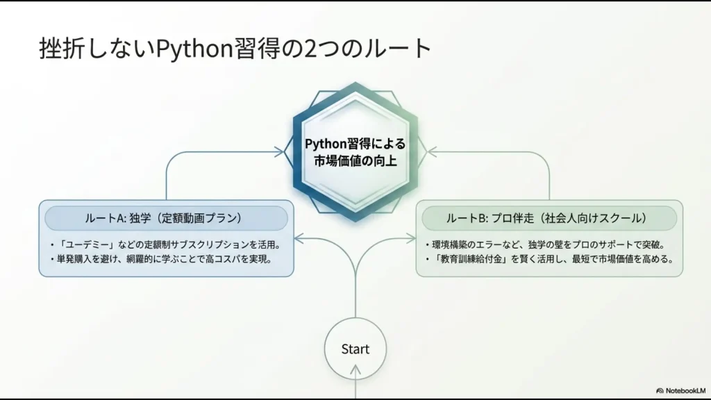 独学(定額動画プラン)のルートAと、プロ伴走(社会人向けスクール)のルートBを示したフロー図